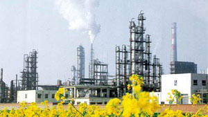 安徽淮化集团有限责任公司 安徽淮化集团有限责任公司