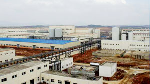 江西晨鸣厂景 江西晨鸣厂景