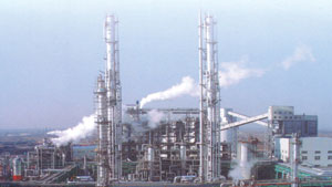 山东华鲁恒升股份有限公司 山东华鲁恒升股份有限公司