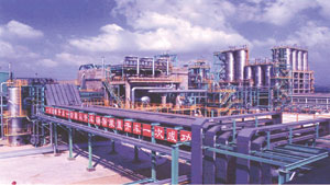 中石化股份公司齐鲁分公司聚乙烯... 中石化股份公司齐鲁分公司聚乙烯...